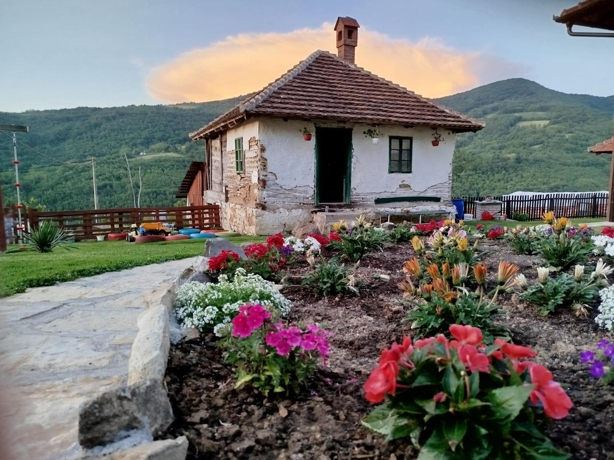 Apartment Ruzina Staza